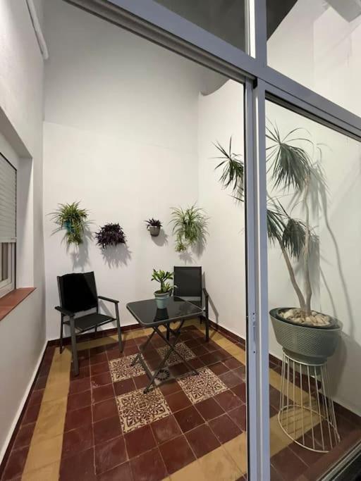 Apartamento Veedor Buenas Companias 加的斯 外观 照片